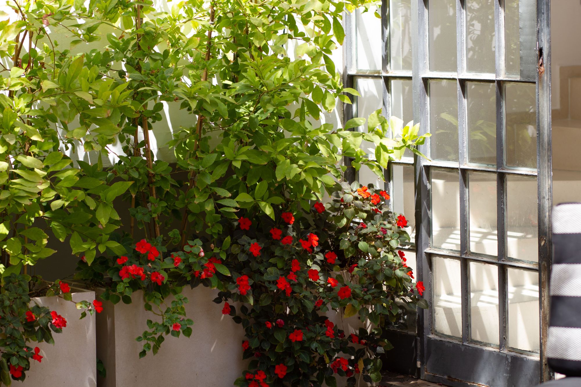 Amzaleg St, Tel Aviv, 3 Bedrooms Bedrooms, ,3 BathroomsBathrooms,Apartment,For Rent,Amzaleg St,1021